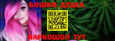 молекула духа Будённовск