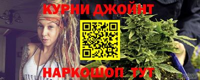 молекула духа Будённовск