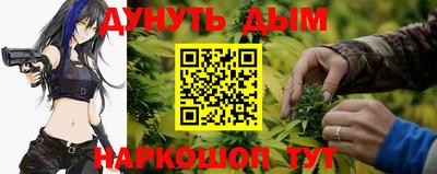 молекула духа Будённовск