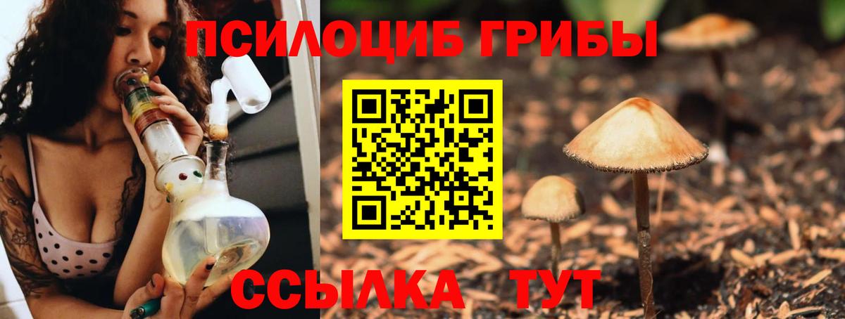 Тайшет  Галлюциногенные грибы Cubensis  Галлюциногенные грибы ЛСД  Вход с VPN 